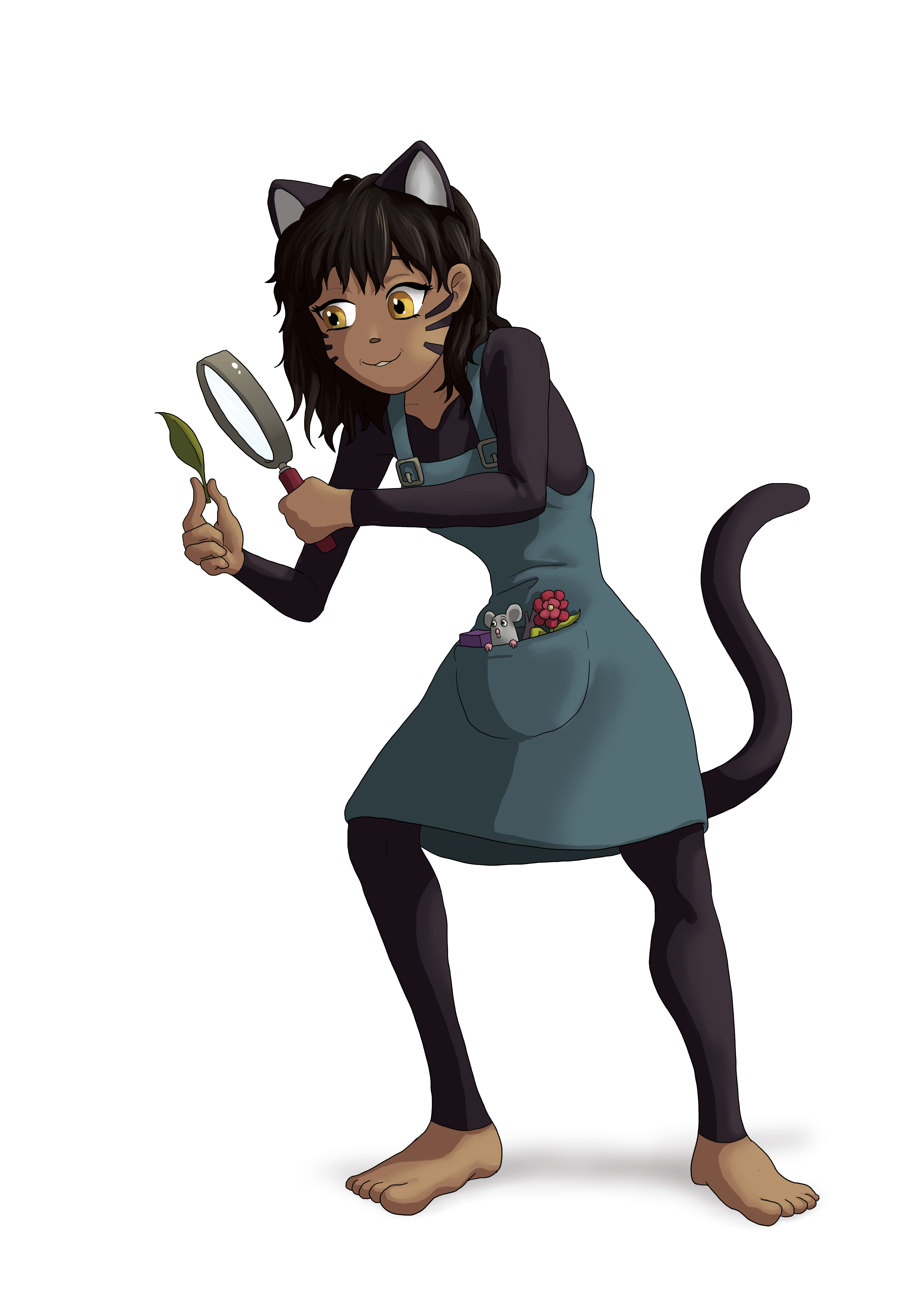 Investigator